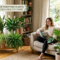 Pet-Safe Air Purifying Plants That Also Handle Low Humidity
